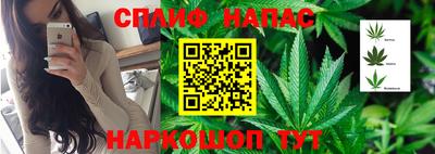 ПСИЛОЦИБИНОВЫЕ ГРИБЫ Будённовск