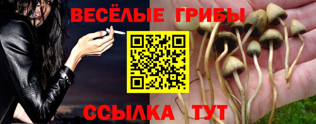 Курчатов  Псилоцибиновые грибы MAGIC MUSHROOMS  Галлюциногенные грибы GOLDEN TEACHER  Вход с VPN 